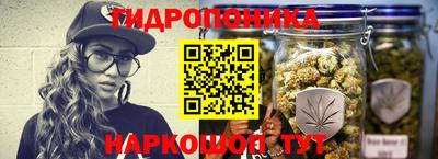 стафф Шахты
