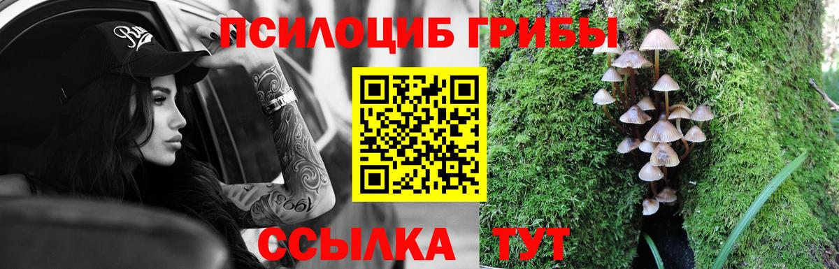 купить  сайты  Вход с VPN  Ахтубинск  Галлюциногенные грибы мухоморы 